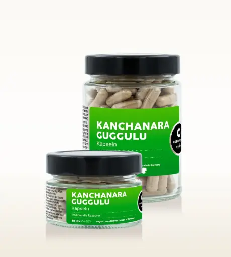 Fair Life Kanchanara Guggulu